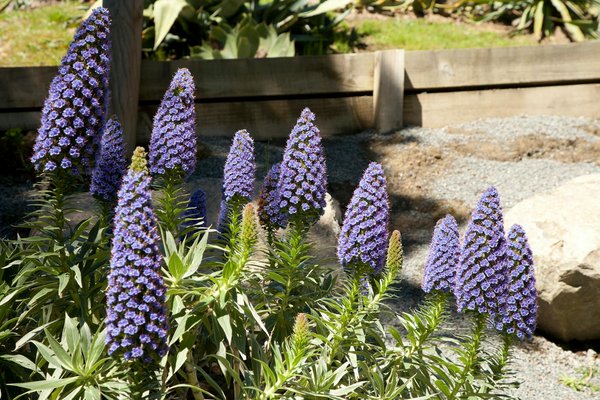 Ce que vous devez savoir sur l'évolution des prix immobiliers en 2022